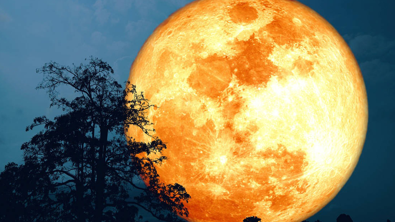Este próximo 27 llega la Luna de Castor.