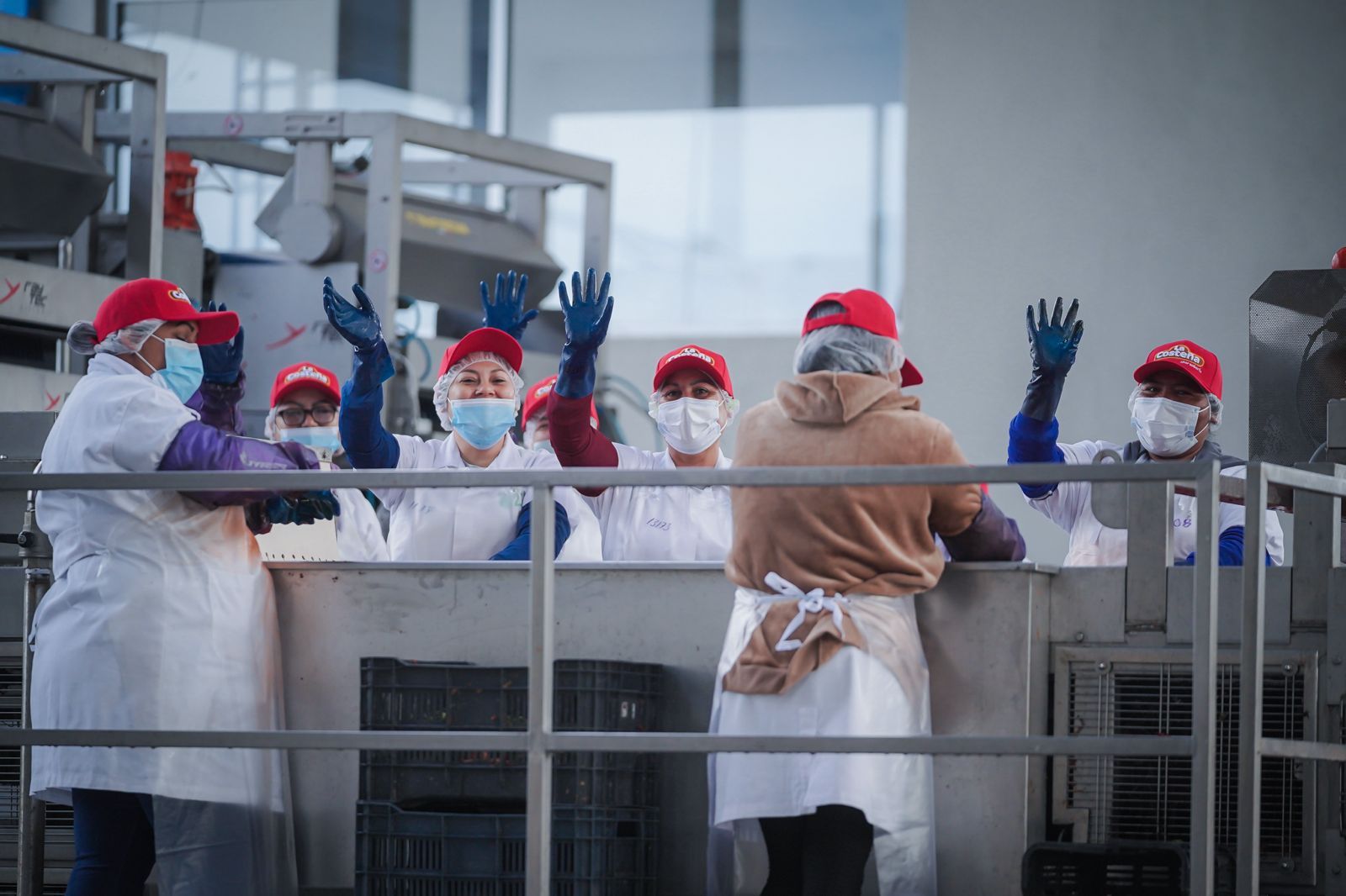 Con una tasa mensual de crecimiento de empleo de 2.5% en febrero, Sinaloa se colocó en la posición número 1 a nivel nacional, informó la Secretaría de Economía.