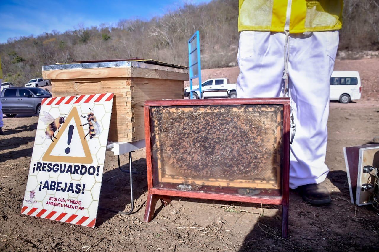 Los trabajos se han realizado en un cincuenta, por cierto, con miras a darle cumplimiento a las normas ambientales y sanitarias