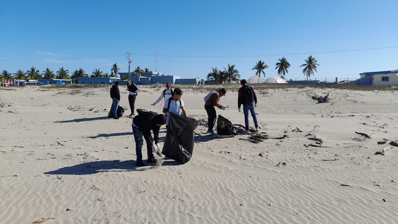 A través de la dirección de Ecología y servicios públicos se organizan las jornadas de limpieza, fueron dos toneladas y media lo que estudiantes de la preparatoria de Cobaes “Pablo de Villavicencio” y Conalep 121 El Rosario recolectaron entre basura, plásticos y más deshechos que afectan el medio ambiente, además de dar mala imagen a la playa. 