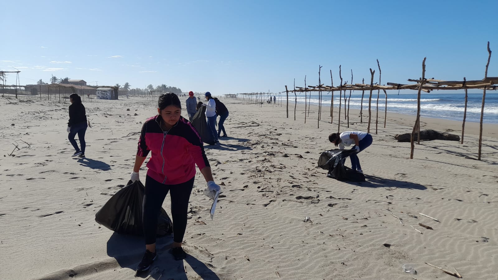 A través de la dirección de Ecología y servicios públicos se organizan las jornadas de limpieza, fueron dos toneladas y media lo que estudiantes de la preparatoria de Cobaes “Pablo de Villavicencio” y Conalep 121 El Rosario recolectaron entre basura, plásticos y más deshechos que afectan el medio ambiente, además de dar mala imagen a la playa. 