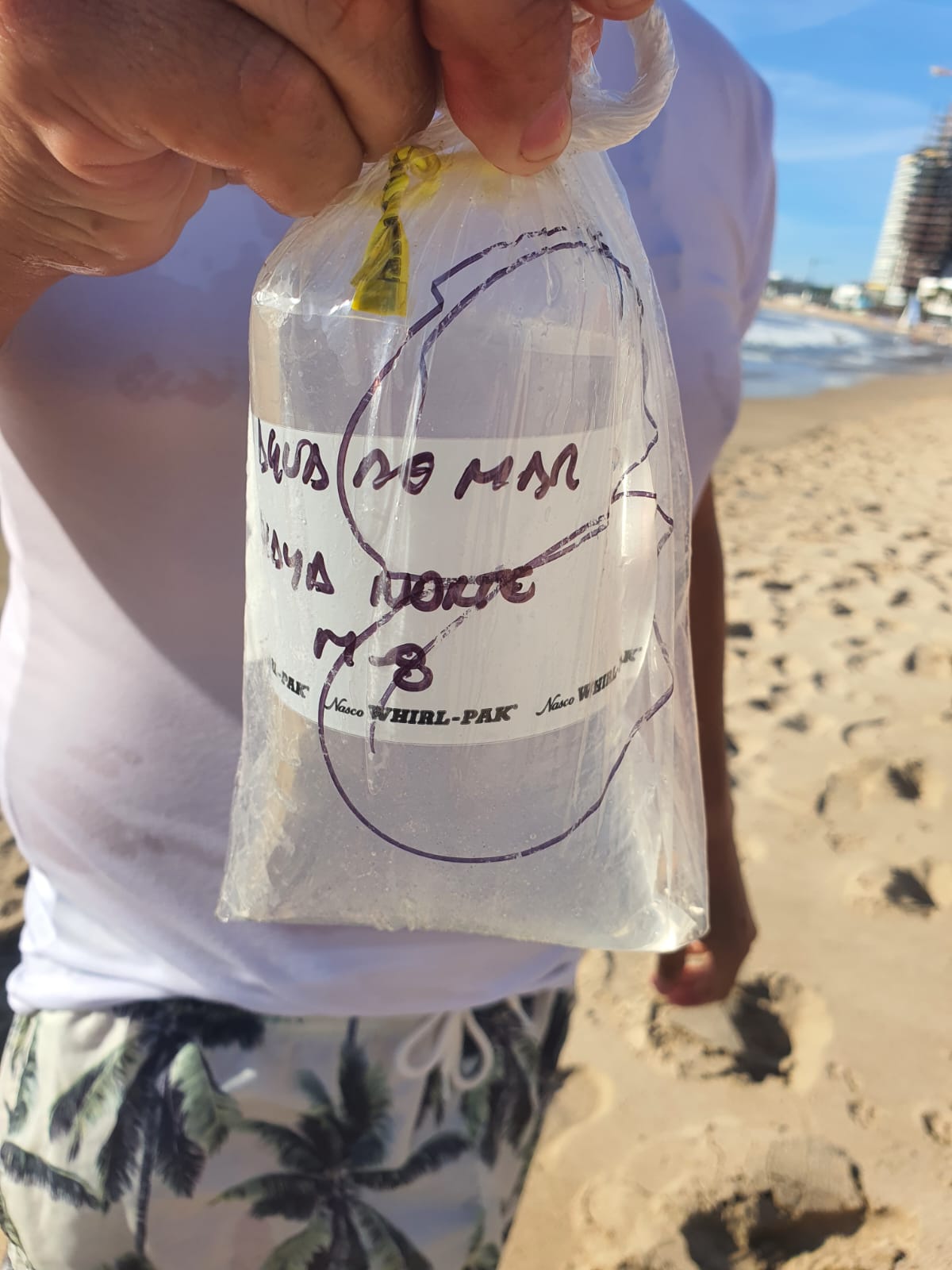 -	El comisionado Cuauhtémoc Chacón Mendoza dijo que los vacacionistas pueden disfrutar de las playas sin ninguna preocupación por su salud