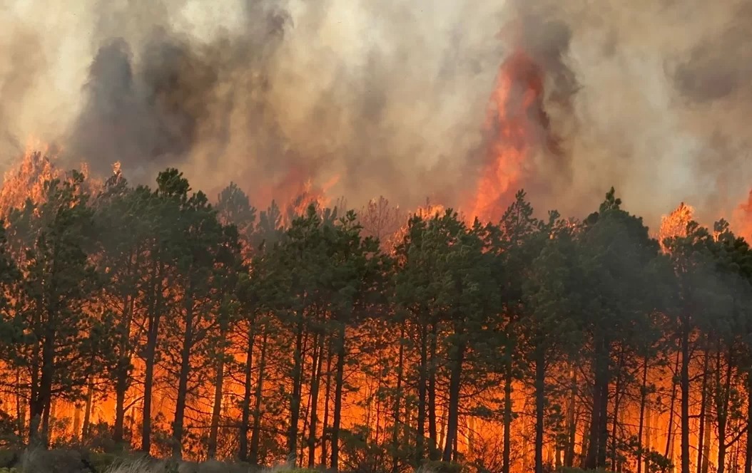 Actualmente hay 95 incendios forestales activos en México, el número más alto en lo que va del año, y afectan más de 3 mil 49 hectáreas