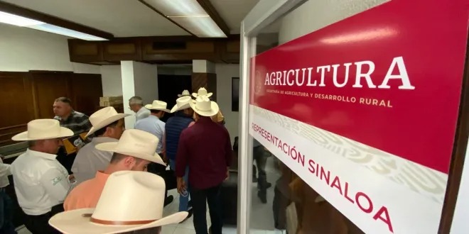 Ganaderos de Sinaloa exigen destitución del presidente de la Unión Ganadera por opacidad