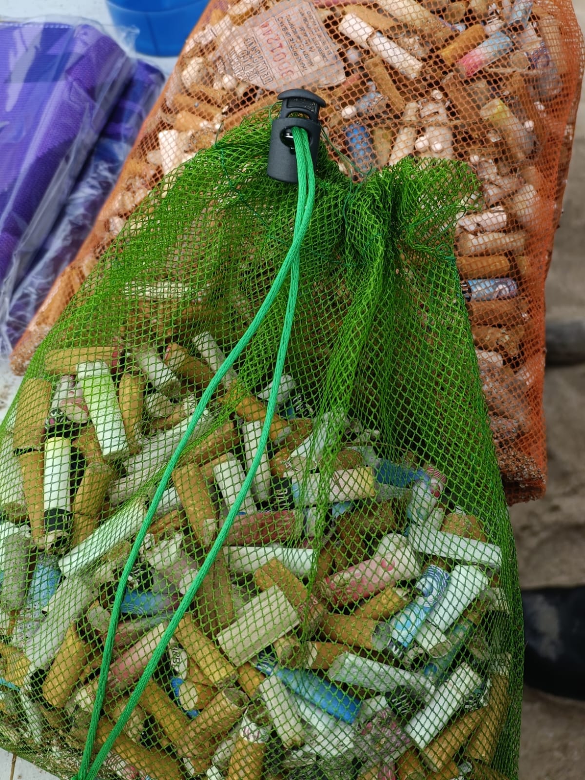 Gran Acuario Mazatlán participa en programa de limpieza de playas con motivo del Día de la Madre Tierra.