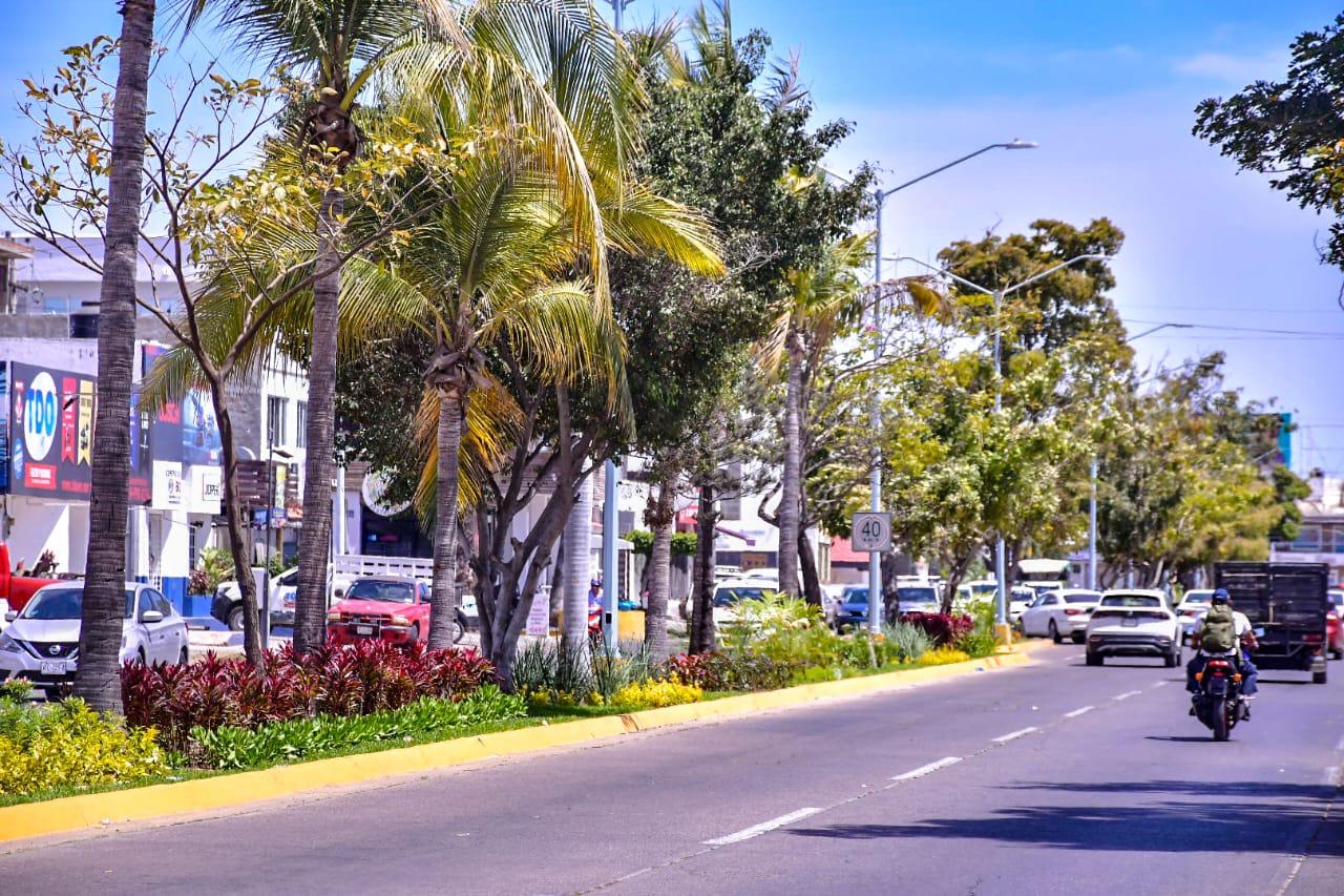 Embellecen camellón Central de Avenida La Marina.