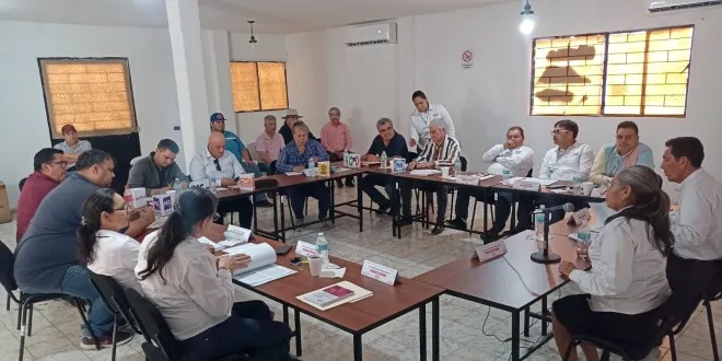 En tema aparte han sido aprobadas tres candidaturas independientes para contender por la alcaldía de El Fuerte.