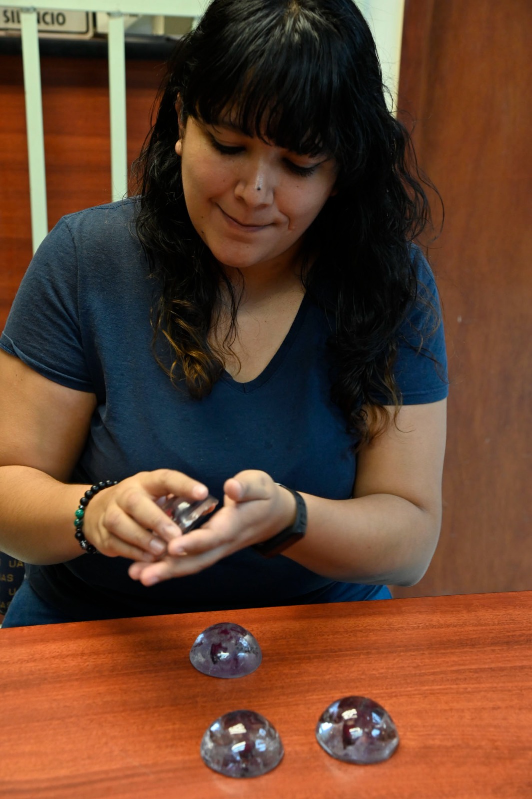 Alumna de la licenciatura de Biología de la Universidad Autónoma de Sinaloa (UAS), a través de sus investigaciones, logró transparentar los tejidos blandos de los órganos, huesos, cartílagos y piel en tortugas marinas nonatas; una técnica que ayudará a realizar indagaciones a un nivel más específico, como pueden ser identificar las causas de muerte, enfermedades o malformaciones de ciertas especies, funcionando también para disciplinas relacionadas a la veterinaria y a la biomedicina, compartió Silvia Barrios.