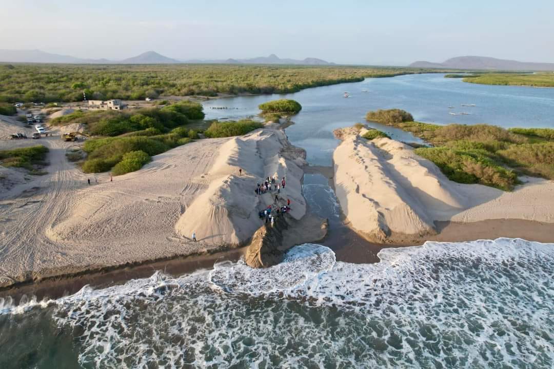 Ayer dio inicio la apertura de las bocas en el sistema lagunar Huizache-Caimanero, después de un año de mal temporal, lo que permitirá que la mezcla de agua salada y dulce mejore el ciclo de entrada de la larva de camarón al sistema lacunario.