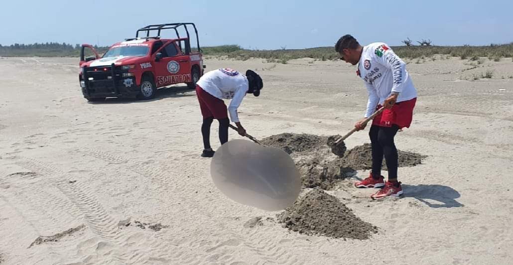 Se mencionó que la mortandad de la Fauna Marina, pudo haber sido por el cambio climatológico