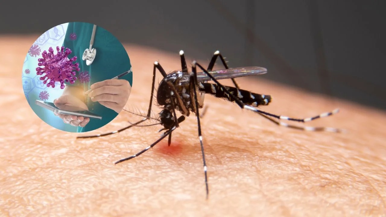 El dengue es una enfermedad causada por un virus que se transmite a los humanos a través de la picadura de un mosquito, que puede complicarse y ser mortal