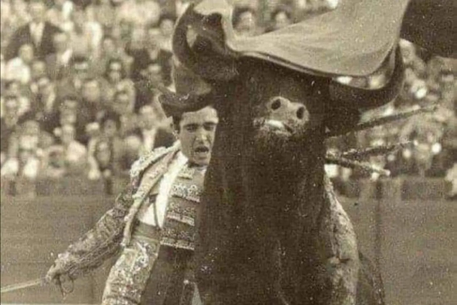 -	Paco Camino es considerado como uno de los diestros de mayor inteligencia y calidad de todos los tiempos y en todas las suertes del toreo