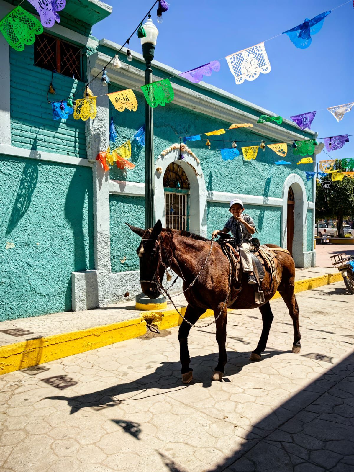 -	En el marco de la celebración del aniversario del tianguis, se reconocerá a los 21 niños, niñas y adolescentes que conforman la segunda generación de anfitriones turísticos “Cuichis Noreñas”.