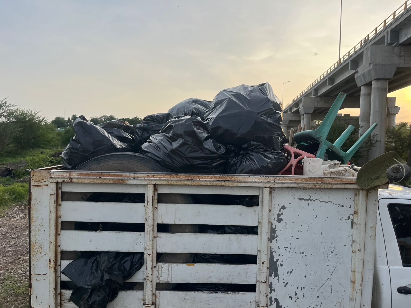 -	Recolectan más de 20 toneladas de basura