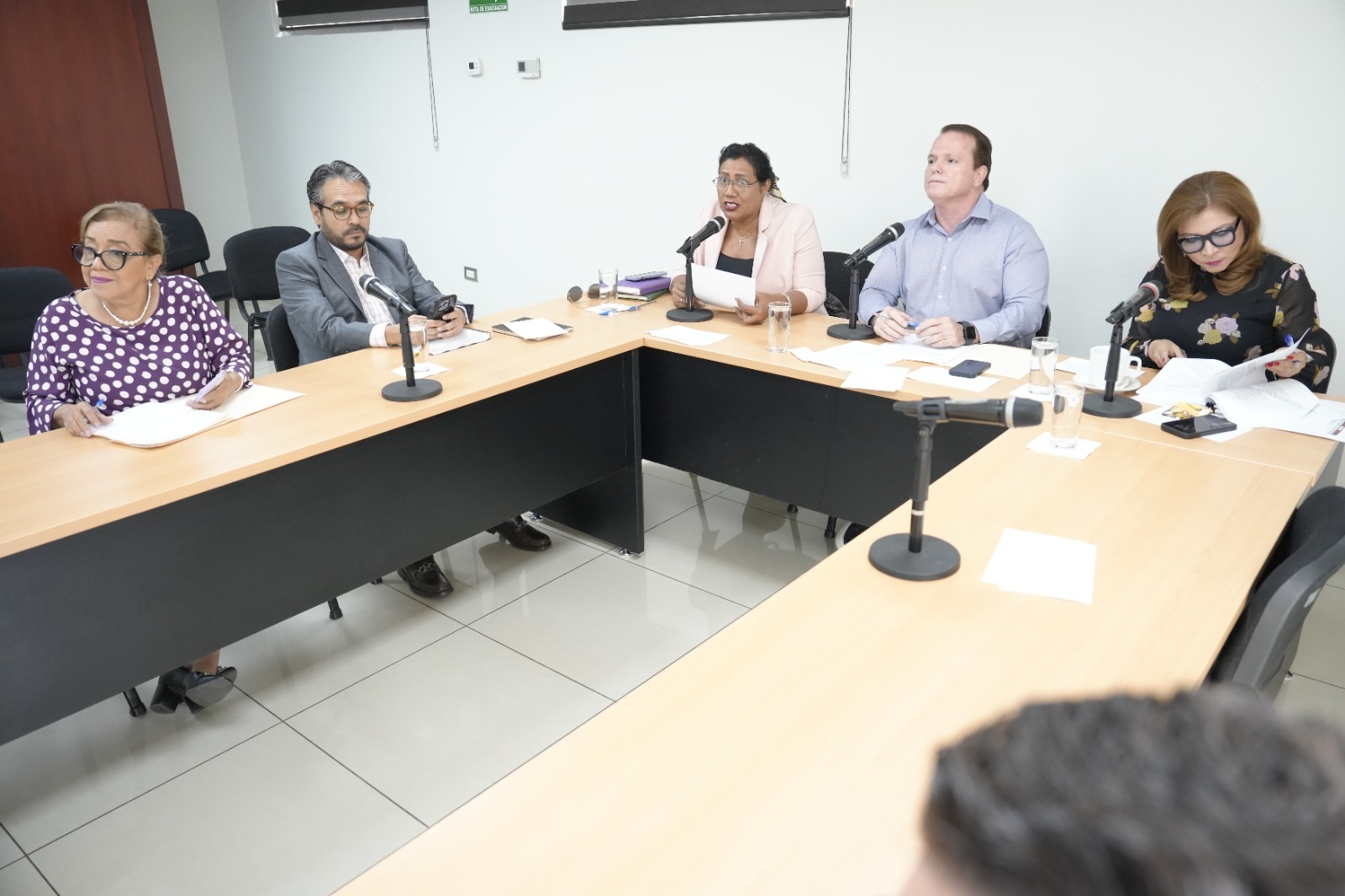 -	Ilegal el trabajo que viene desarrollando la Comisión de Educación para reformar la Ley Orgánica de la UAS.