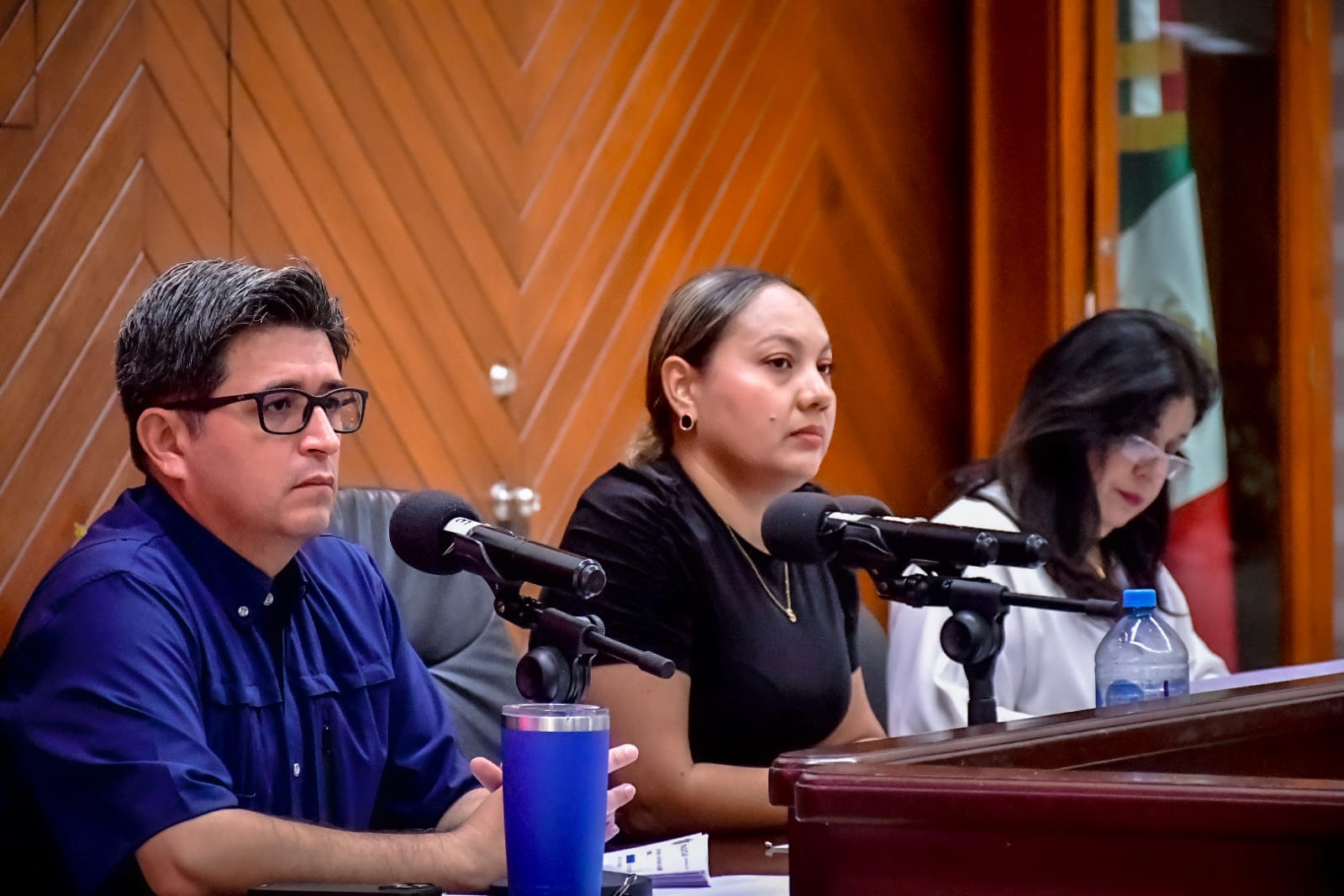 Este premio se otorgará a aquellos jóvenes que se hayan destacado en los ámbitos académico-tecnológico, cívico-social, artístico, deportivo, así como en temas de discapacidad e integración.