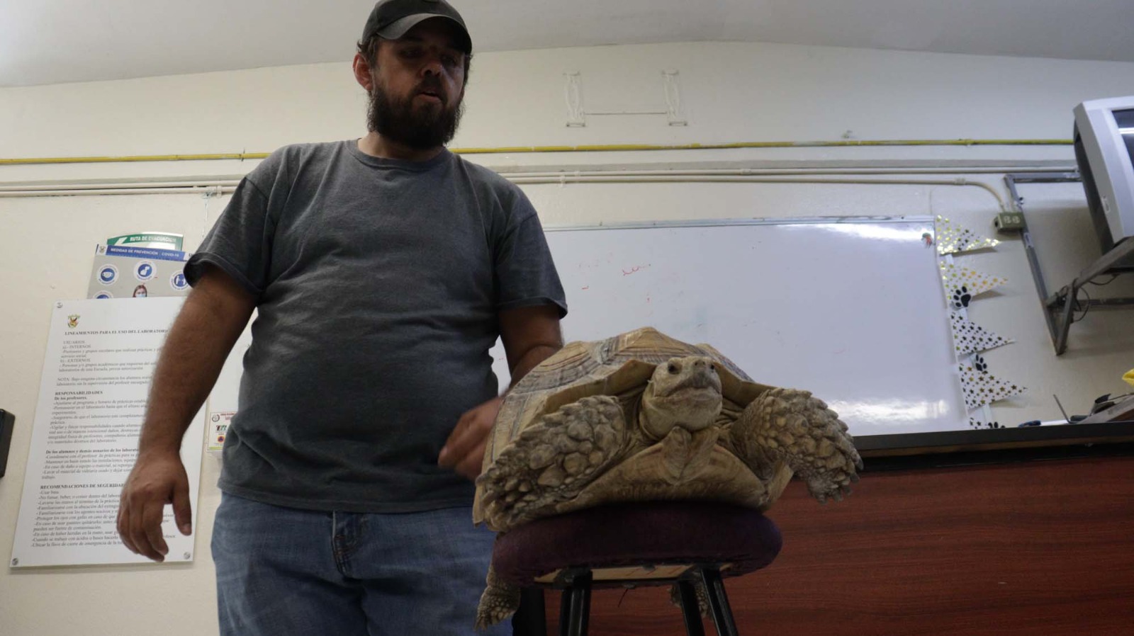- Al tener Sinaloa 152 especies de reptiles, enseña la Facultad de Biología a estudiantes la manipulación segura con técnicas y herramientas adecuadas