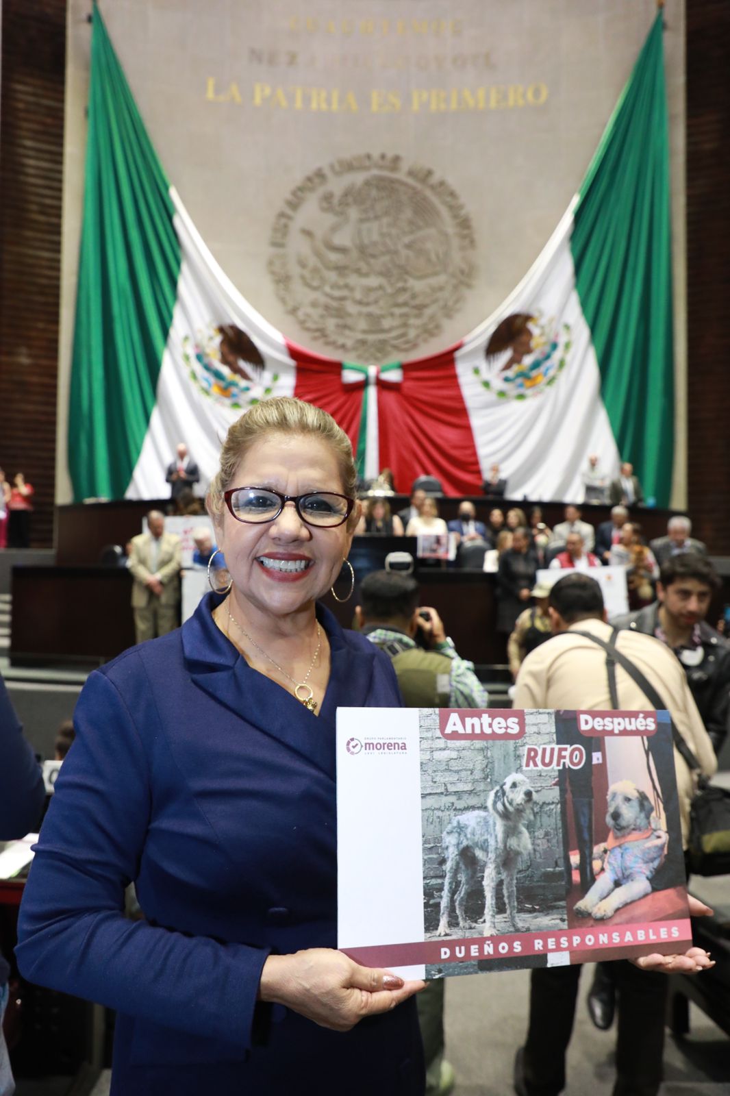 En el pleno de la Cámara de Diputados, la legisladora de Mazatlán dijo que la nueva reforma dotará derechos a los animales y tendrán una mejor calidad de vida