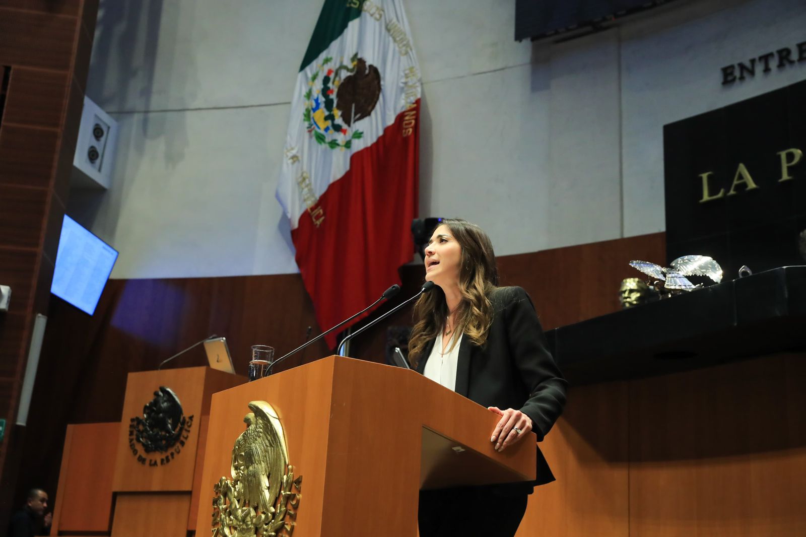 Que quede claro, el voto a favor de los priistas no es un cheque en blanco a las autoridades de seguridad federal, sostuvo la senadora sinaloense.