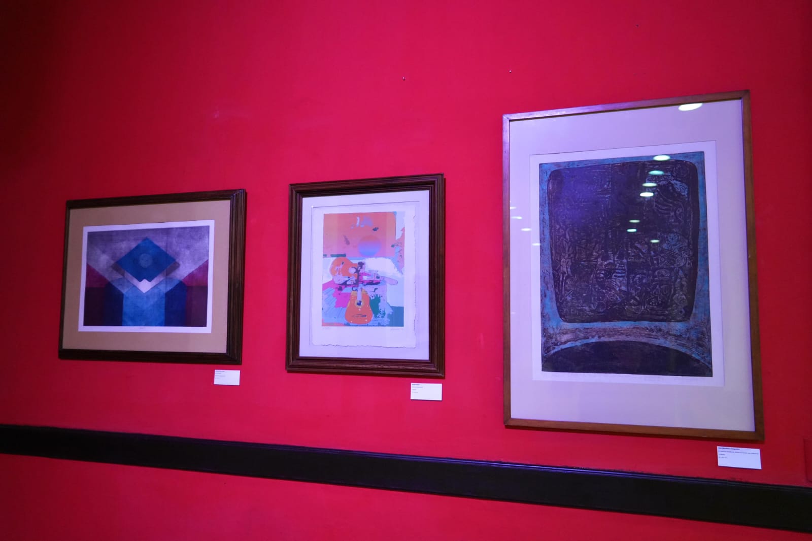 La exposición cuenta con 30 obras en diversas técnicas, incluyendo litografía y agua fuerte, así como una pieza titulada "Tributo a Rufino Tamayo" de Aida Petite. 
