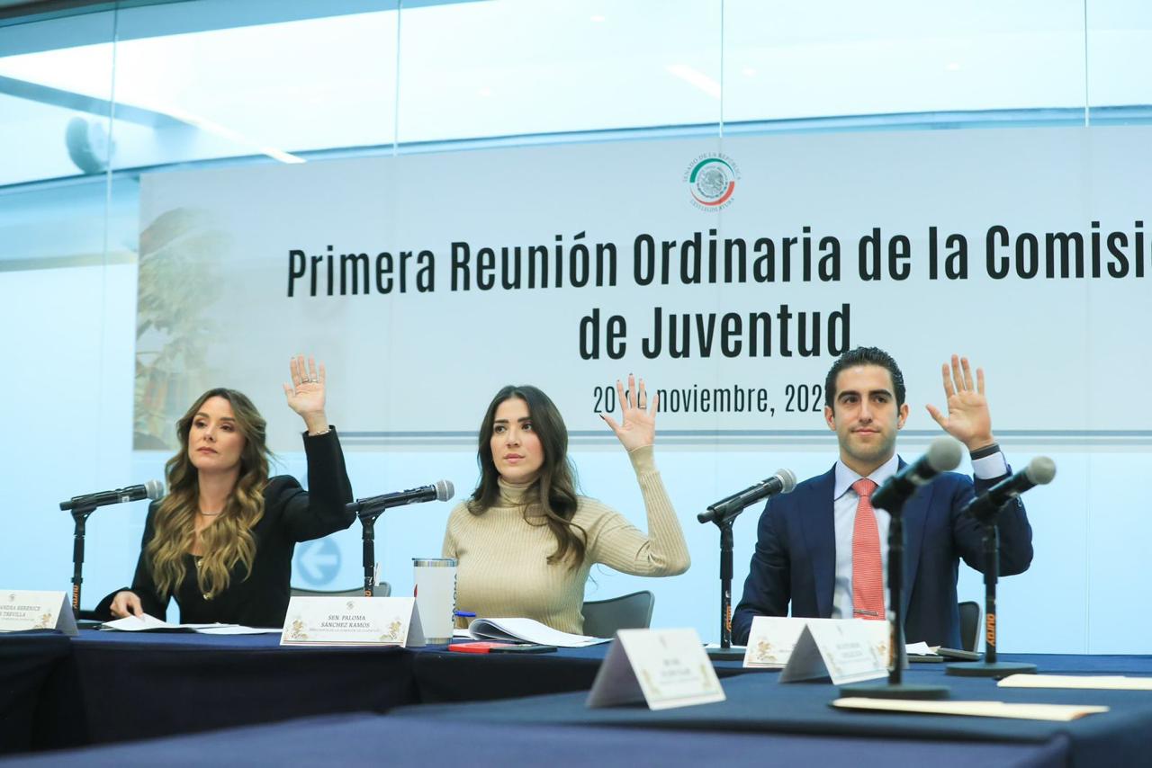  Para la Senadora Presidenta Sánchez Ramos, crear una legislación a favor de las y los jóvenes representa un esfuerzo por elaborar un marco integral que permita garantizar el acceso equitativo a derechos y oportunidades.