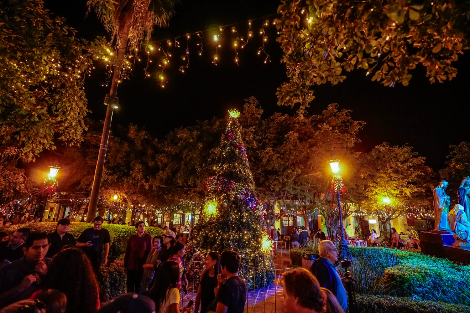 La Plazuela Machado se transformó en un escenario mágico con la iluminación y decoración navideña que personal del Instituto Municipal de Cultura, Turismo y Arte de Mazatlán colocó para dar la bienvenida a la Navidad inaugurada por la Presidenta Municipal de Mazatlán, Estrella Palacios Domínguez.