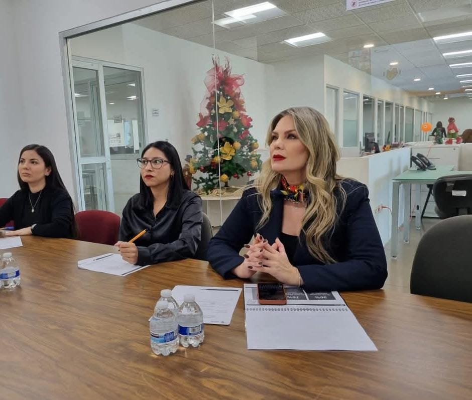 -	Evitemos que Niñas, Niños y Adolescentes usen Pirotecnia: SE del SIPINNA Sinaloa