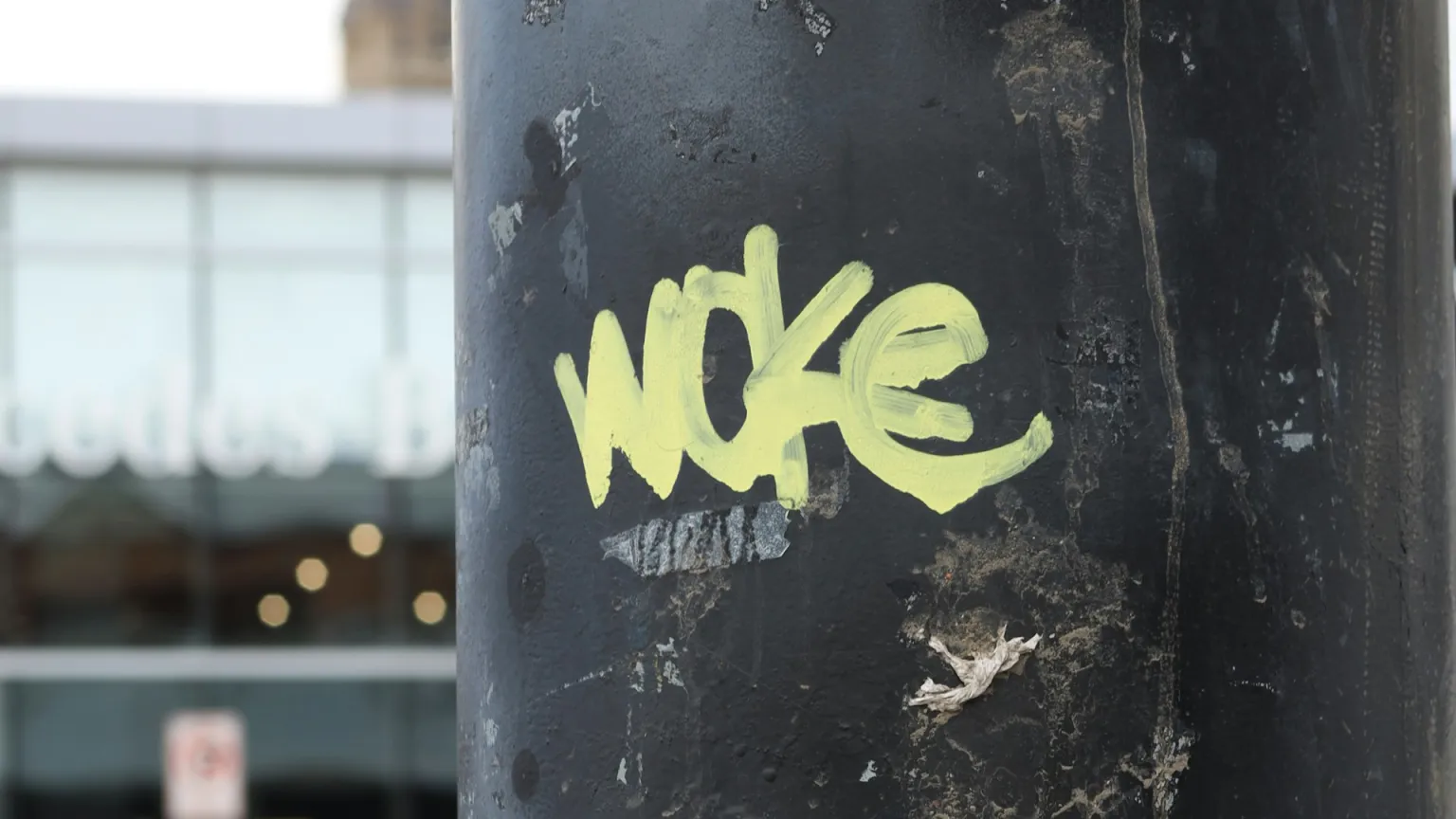 Aquí te decimos cuales son las 12 finalistas de las que se decidirá el 19 de diciembre promovida por la Real Academia Española y la Agencia EFE.