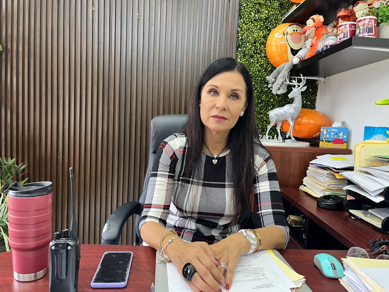 La Dirección de Servicios Públicos habilita tres centros de acopio de pinitos navideños en la ciudad, 