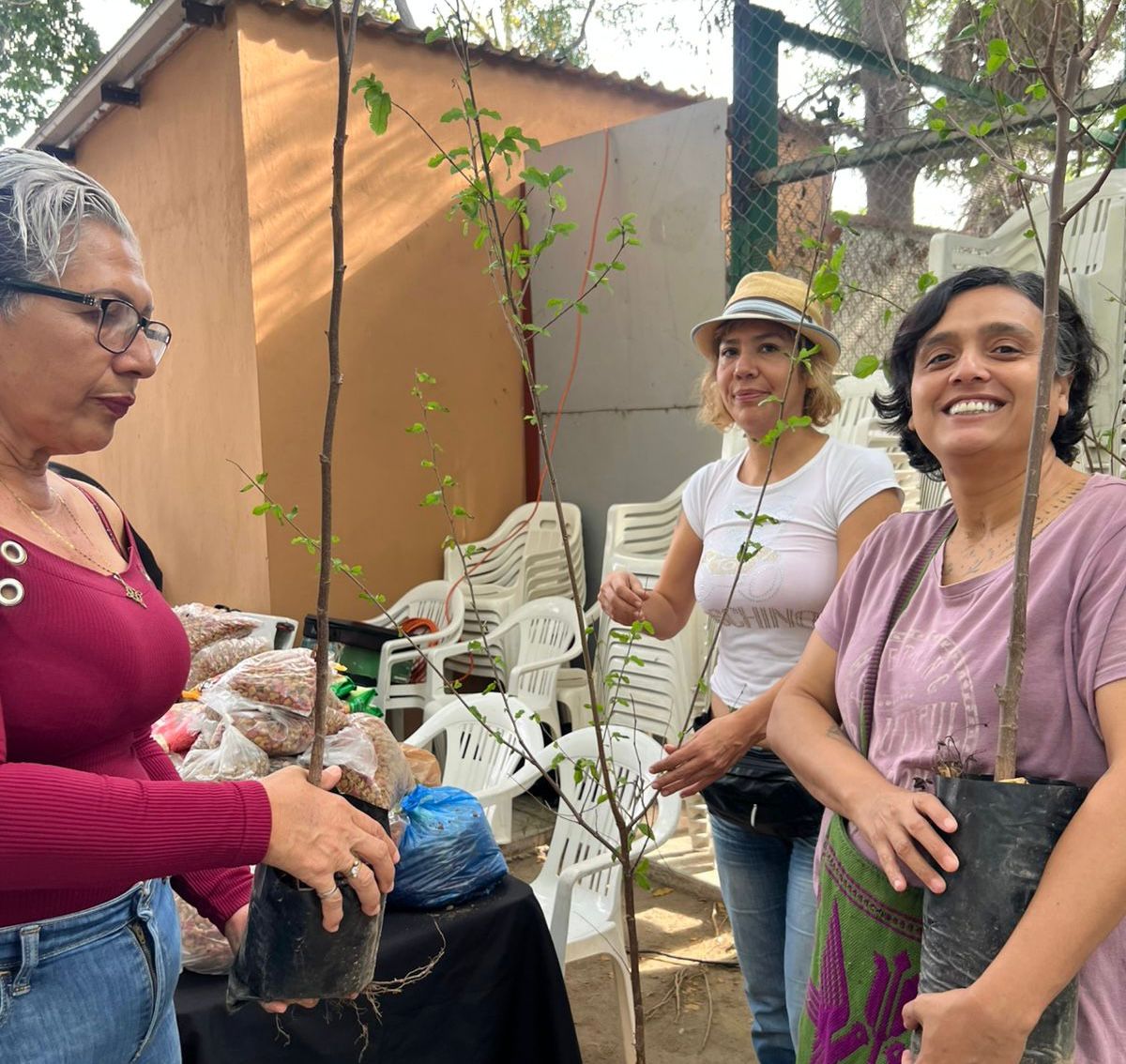 De noviembre a diciembre de 2024, la Dirección de Ecología y Medio Ambiente del Gobierno Municipal, ha visitado 10 escuelas del puerto mazatleco, con un impacto positivo en 335 estudiantes; se han entregado 1,149 arbolitos regionales