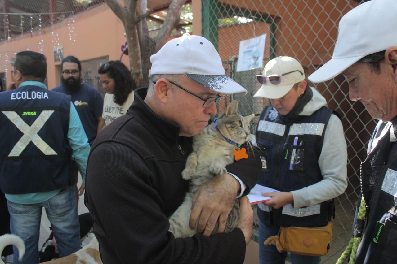 A través del programa “Huellitas del Bienestar”, el Gobierno Municipal de Mazatlán lleva a cabo la segunda jornada de adopción de perritos y gatitos 