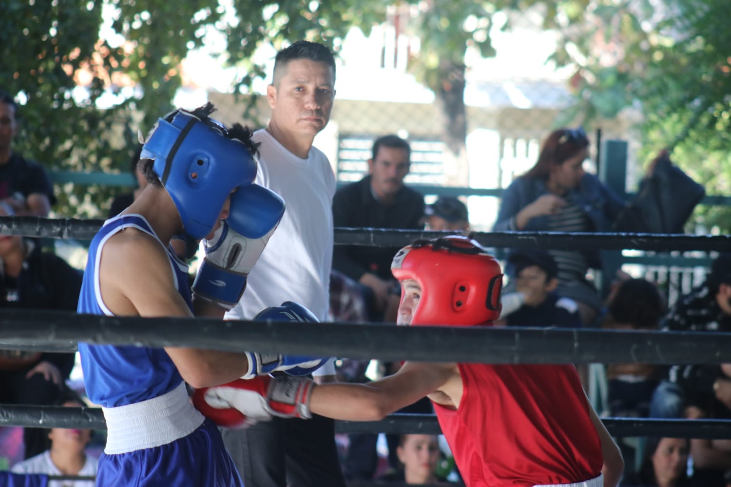 - Un total de 85 pugilistas patasalada se dan cita en el Gimnasio Infonavit Playas para conseguir su boleto y ratificarse como los mejores de su categoría