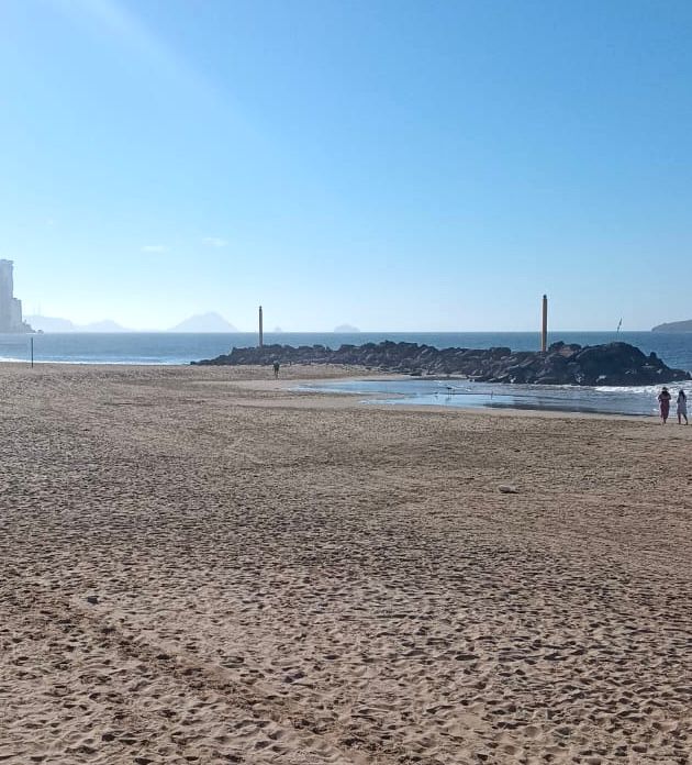 El Director de la dependencia municipal, Ángel García Contreras, refiere que las microalgas flotantes que se han presentado en Playa Norte, es por el cambio de temperaturas de las corrientes oceánicas