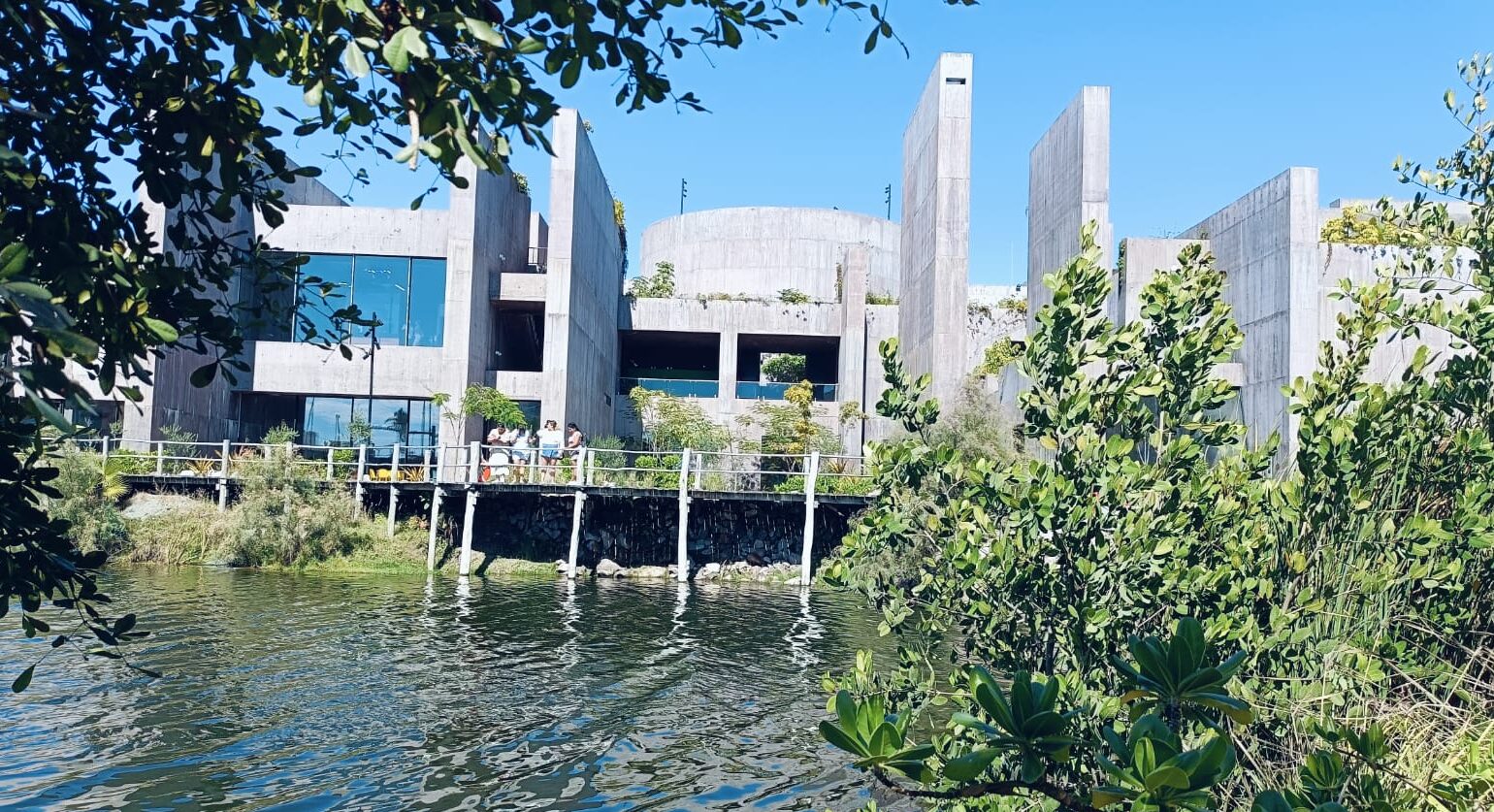 En el marco del Día Mundial de la Educación Ambiental, que se conmemora el 26 de enero y nace por la necesidad de contar con criterios y principios comunes para orientar a la población en la preservación y mejora del medio ambiente, se lleva a cabo en nuestro puerto la 1ª Reunión de la Red de Educadores Ambientales de Sinaloa 2025 teniendo como sede las instalaciones del Gran Acuario Mazatlán Mar de Cortés.