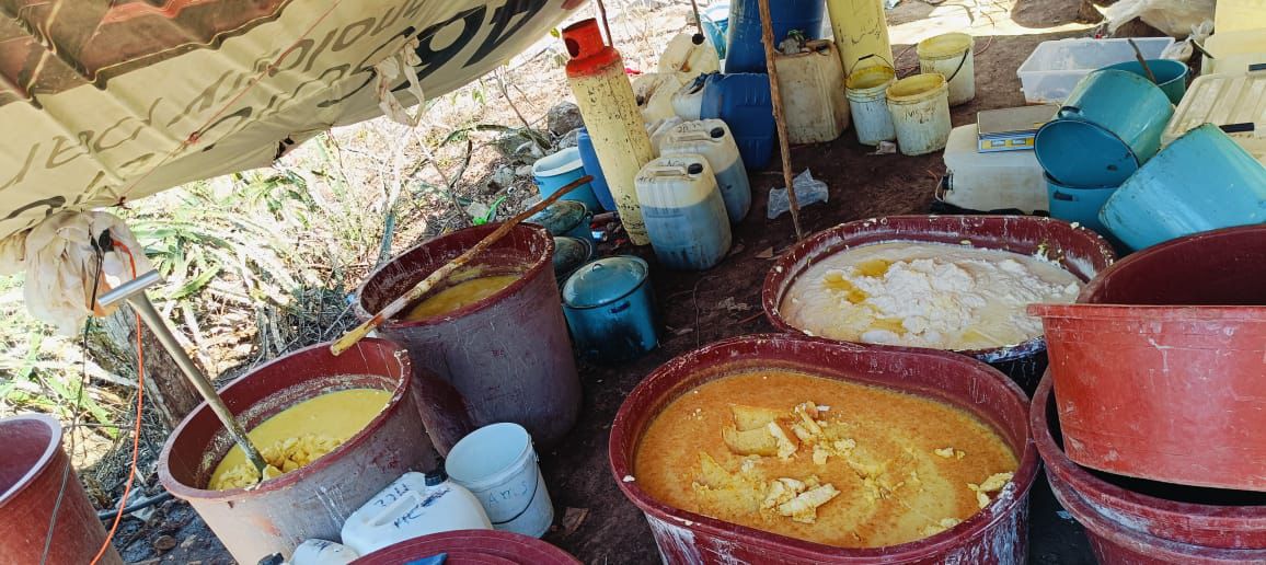 Personal de la Armada de México, en coordinación con la FGR localizó y neutralizó un laboratorio clandestino en el estado de Sinaloa