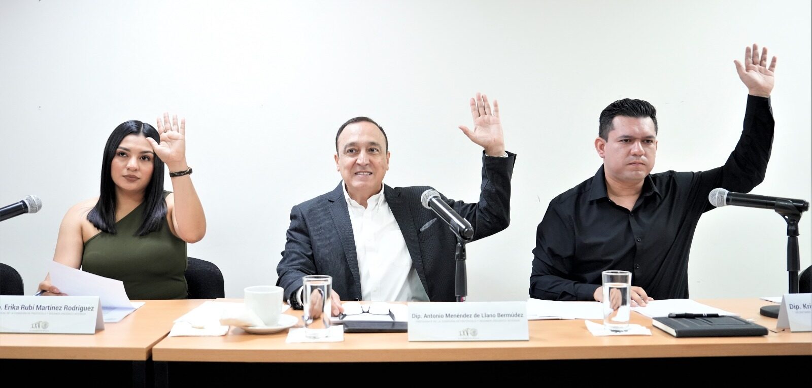 La Comisión de Protocolo y Régimen Orgánico Interior determinó que 19 iniciativas cumplen con los requisitos establecidos para continuar su proceso legislativo, desechó dos y determinó favorablemente tres iniciativas de pensiones en la modalidad de retiro a personas que prestaron sus servicios al Gobierno del Estado.
