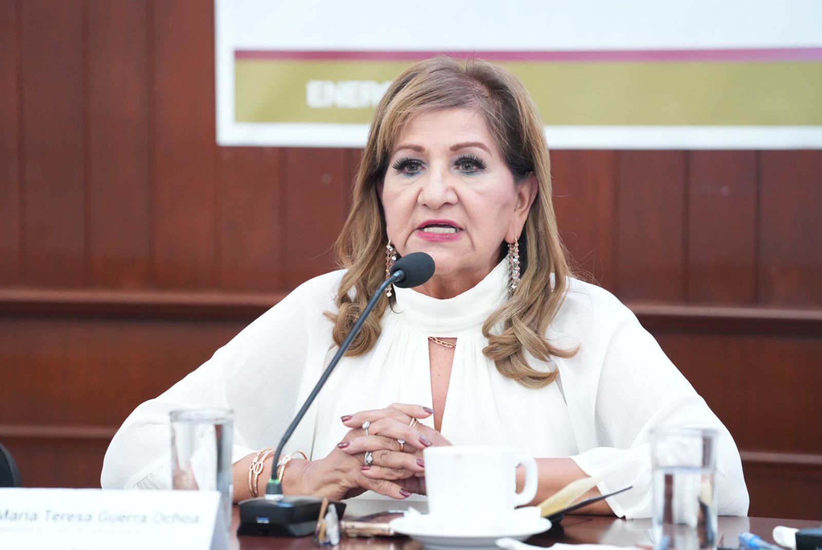 La diputada María Teresa Guerra brindó un reconocimiento a la Secretaría de la Defensa Nacional y de la Marina, así como a la Guardia Nacional por la serie de detenciones de alto impacto que han venido realizando en las últimas semanas.