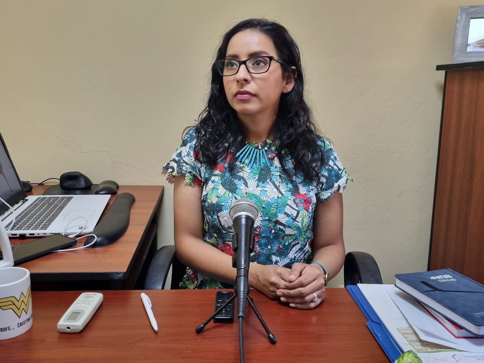 CRISTINA ISABEL IBARRA ARMENTA