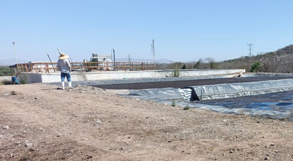 Este fin de semana, la Junta Municipal de Agua Potable y Alcantarillado de Mazatlán, realizó importantes trabajos de colaboración con la administración del Rastro Tipo Inspección Federal (TIF), para darle mantenimiento preventivo a sus instalaciones de la red sanitaria.