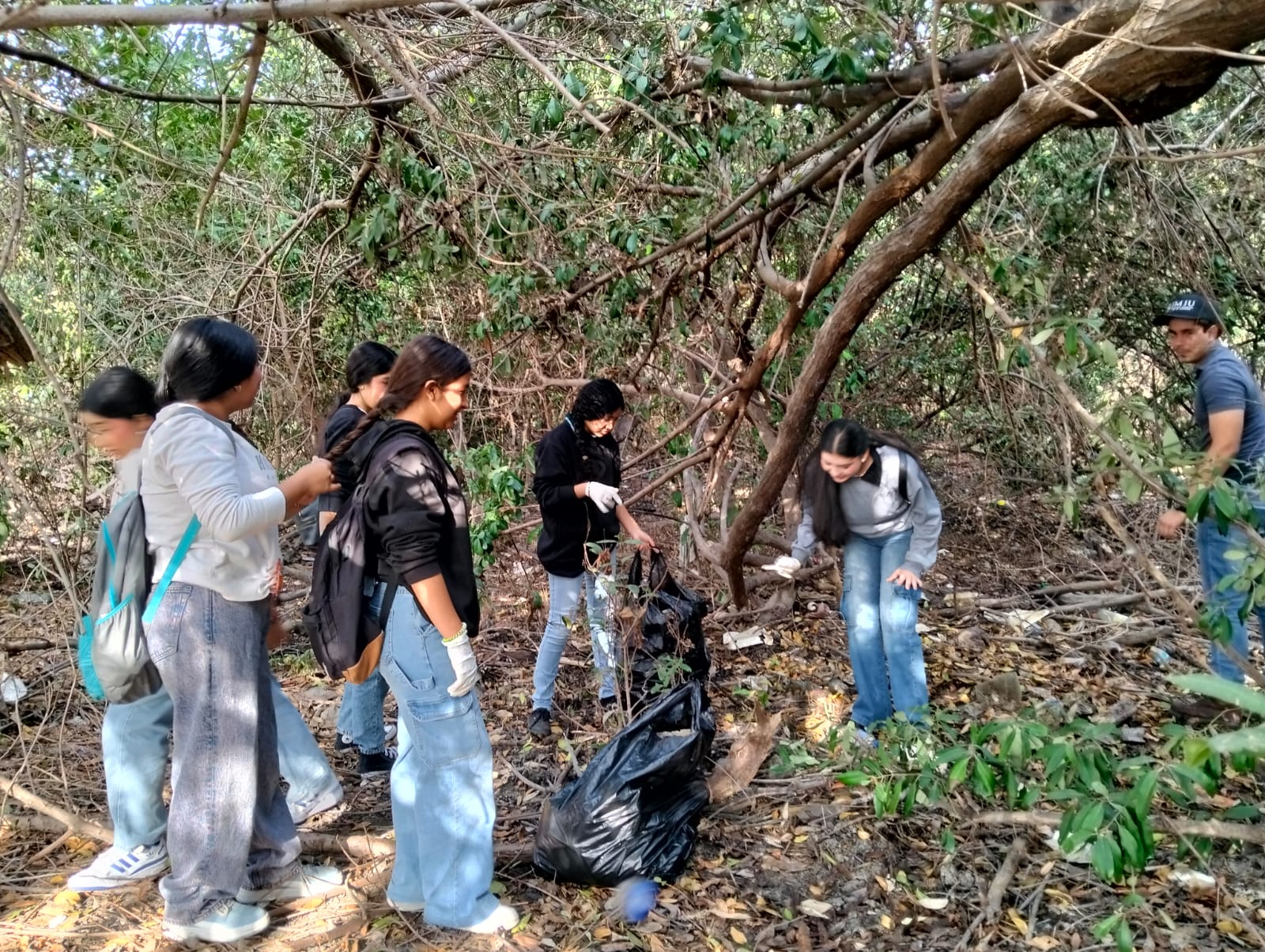 A través del programa “Cuidemos los Manglares”, se recolectan 2 toneladas 77 kilos en estos ecosistemas costeros