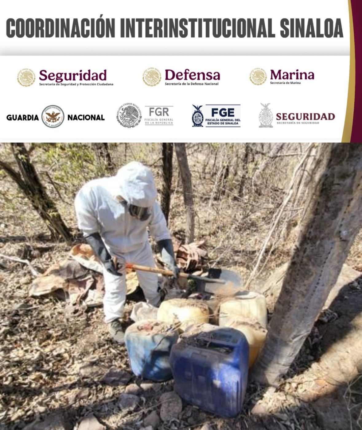 - Grupo Interinstitucional asegura 12 laboratorios clandestinos en Culiacán, Elota y Cosalá