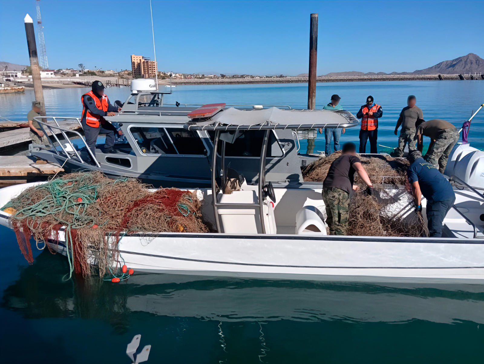 25 ejemplares de totoabas quedaron atrapados en las redes; los cuerpos fueron inutilizados para evitar su aprovechamiento ilegal
* Profepa, Marina y Conapesca intensifican los patrullajes en la zona