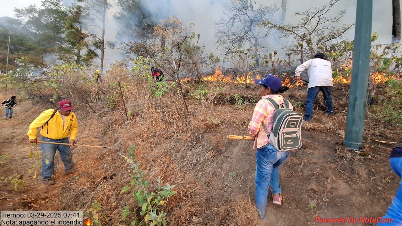 Más de 120 personas acudieron a sofocar el incendio que se presentó en la sierra de Concordia.