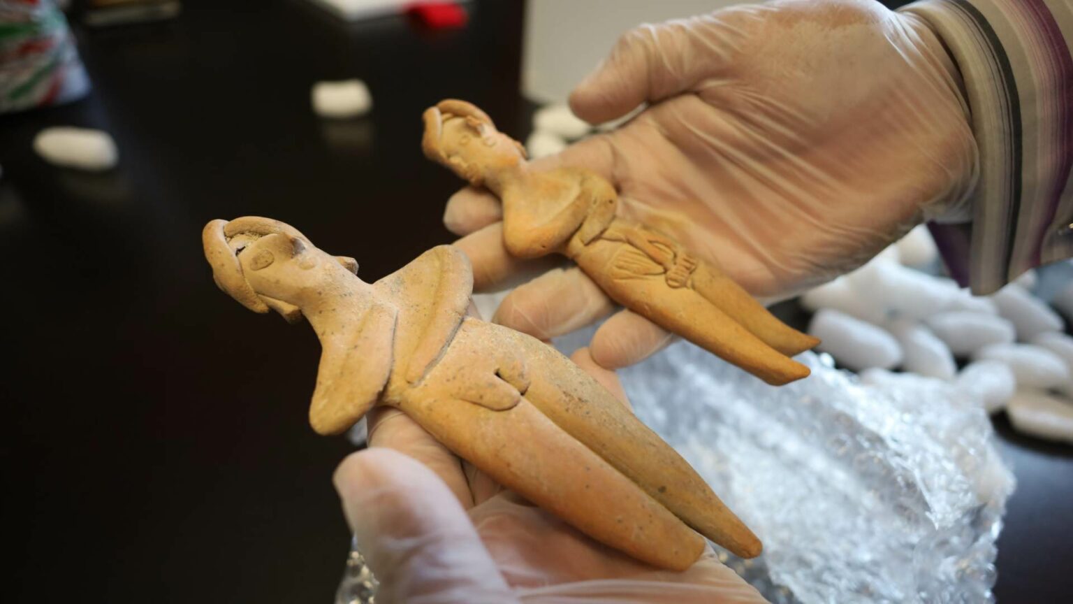 - Los bienes arqueológicos provienen de regiones como el occidente mexicano, Bajío, Golfo, Altiplano Central, Oaxaca y el área maya