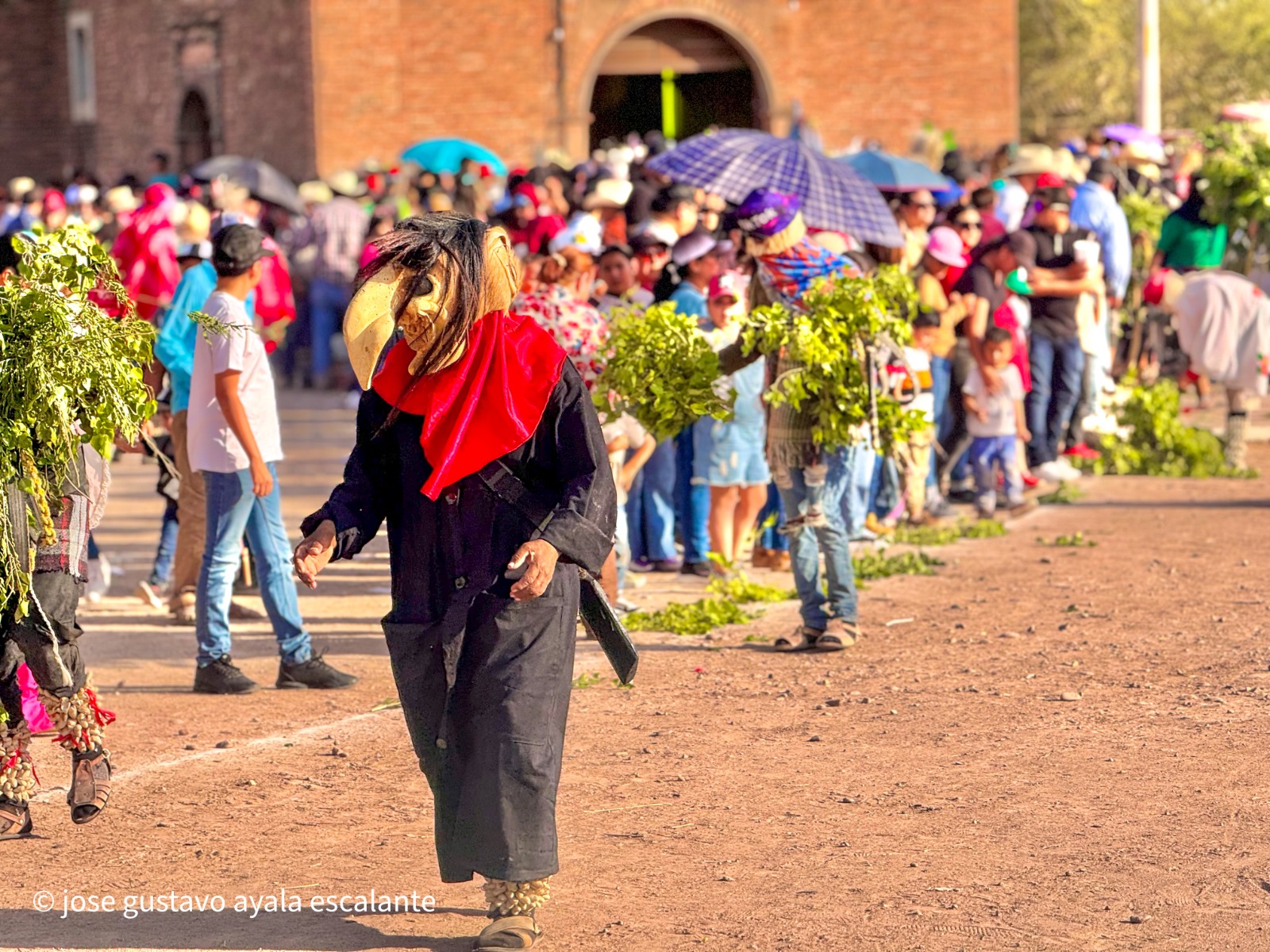 Miles de personas se congregan en torno a las distintas comunidades indígenas, que son altamente respetadas y apoyadas por el gobierno de Sinaloa que encabeza Rubén Rocha Moya.