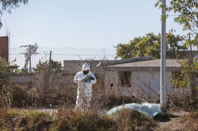 El costo total de la violencia en 2024 en México fue seis veces mayor que el gasto público en salud y cinco veces superior al presupuesto de educación