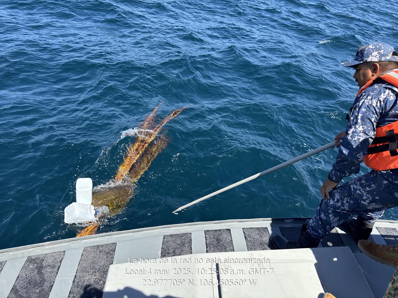 La Secretaría de Marina a través de la Armada de México, por conducto de la Cuarta Región Naval informa que ayer, personal naval apoyó en la liberación de una tortuga marina, en Sinaloa.