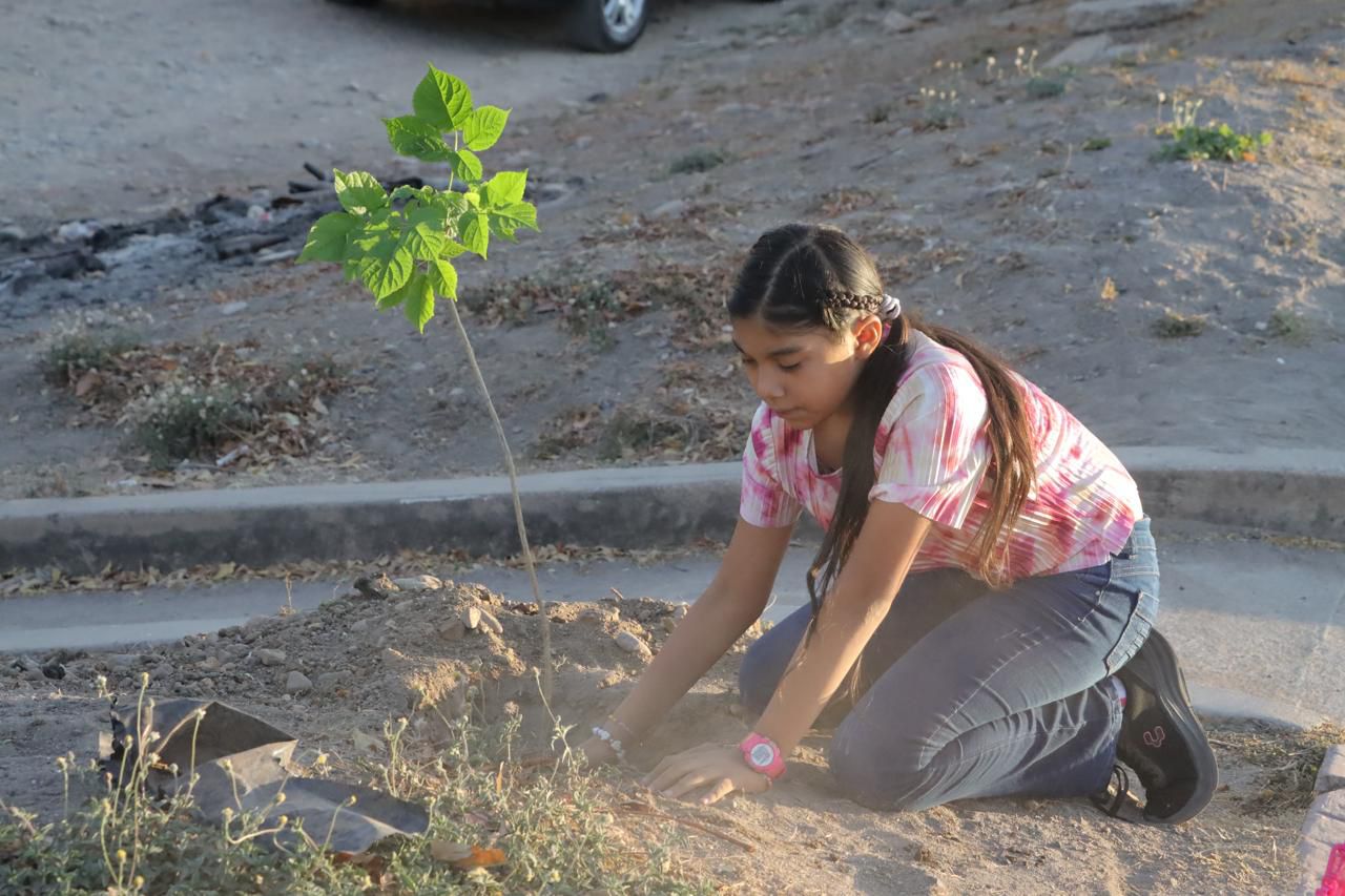 Con una jornada de arborización el municipio de Rosario conmemoró el Día Mundial de la Biodiversidad celebrado el pasado 22 de mayo.