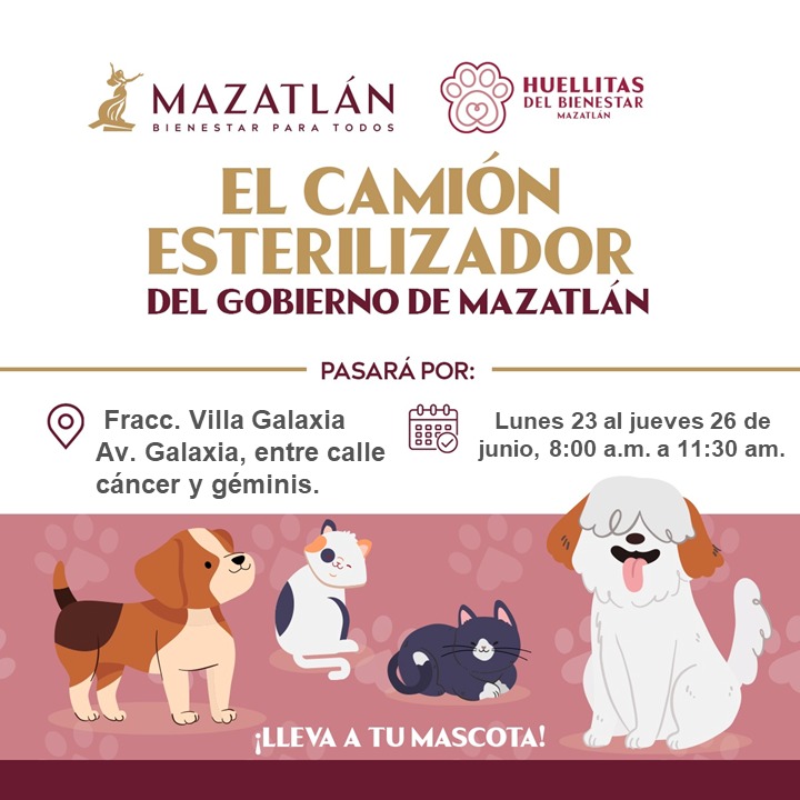 Realiza Ecología Municipal 30 esterilizaciones de mascotas en Parque Central