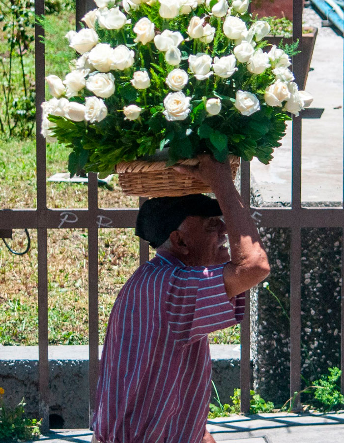 Una trabajadora social ayudó para que Edmundo, de 82 años, se jubile de la venta de flores y viaje a México para reunirse con su familia después de 50 años